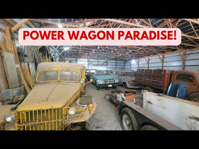 We Found A FANTASTIC Collection of Dodge Power Wagon Trucks Tucked