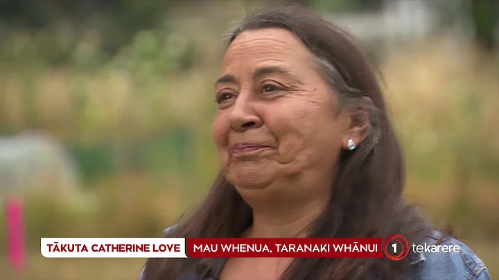 There is no partnership in Shelly Bay  Mau Whenua ...