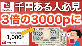 【ガチ】PayPayに1000円入ってる人勝ち組すぎる‼︎今なら3000円分に！！！