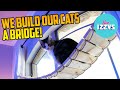 We build a RICKETY CAT BRIDGE!