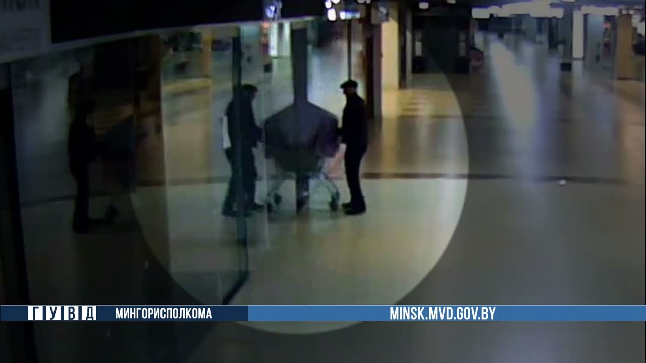 Работник столичного торгового центра месяц похищал искусственные елки