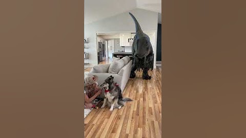 Dinosaur Escaped In The House!! #shorts