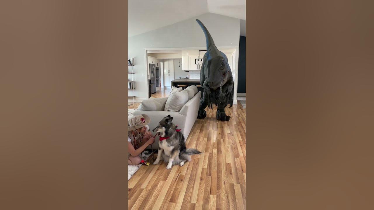Dinosaur Escaped In The House!! #shorts