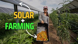 How Solar plus Agriculture Farming is becoming a game changer