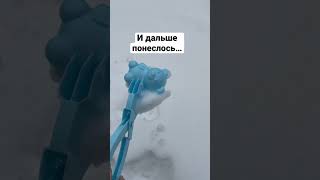 Снежколеп