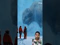 28,000-Year-Old Animal Found Frozen in Ice#shorts #shortsfeed