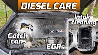 Ultimate Diesel Engine Care: In-Depth Guide to Intake Cleaning, EGR & Catch Cans