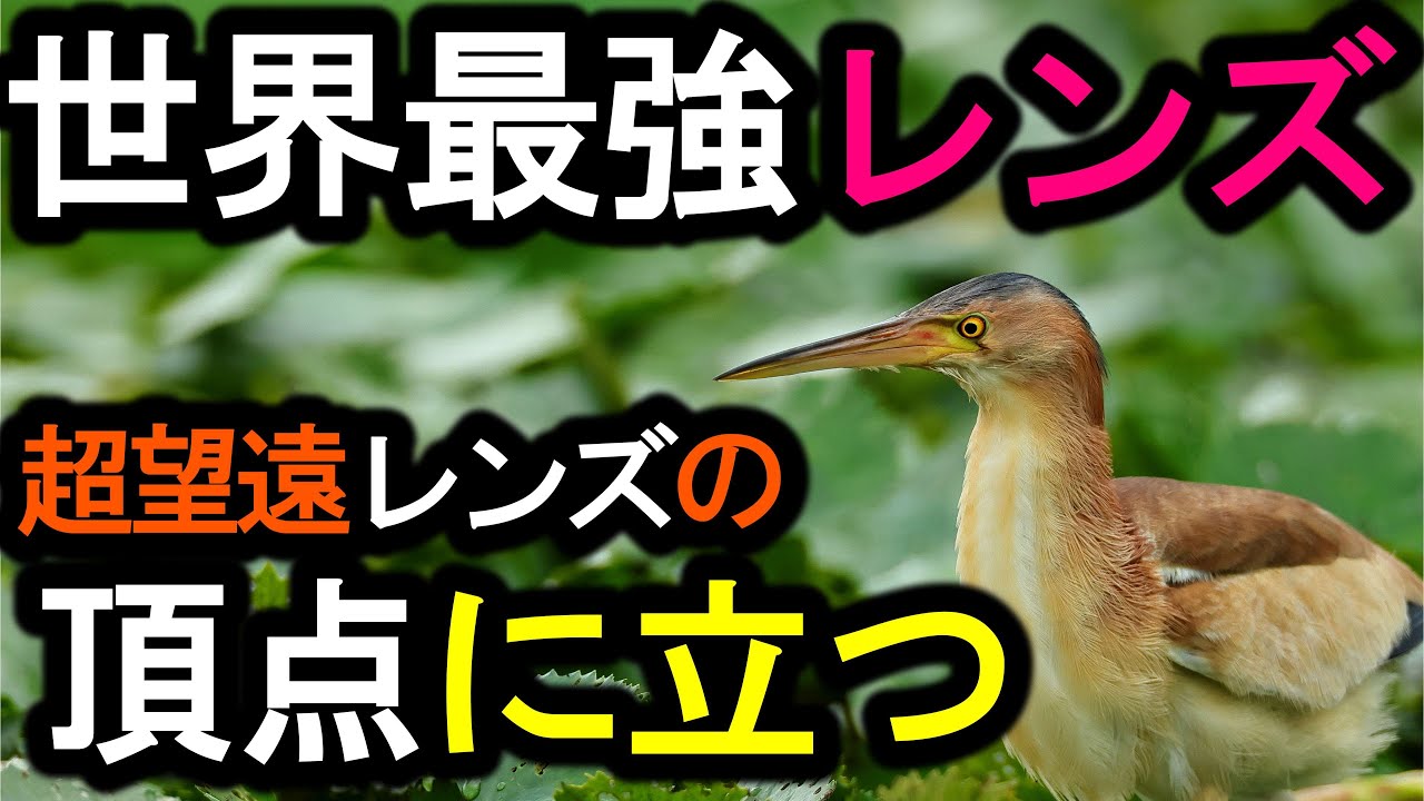 Download 世界最強レンズで 頂点に立つ Mp3 And Mp4 28 44 Min 39 46 Mb Mp3 Music Download