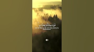 تلاوه بقلب خاشع بصوت القارئ | أيمن الشرعبي