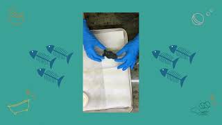 The Bath Time 3D printed Fishbone Bath Bomb Mold - making