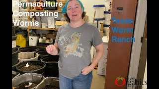 Permaculture Composting Worms From Texas Worm Farm