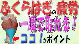 【ふくらはぎ マッサージ】ふくらはぎの疲労が溜まったらココをマッサージ！足が軽くなります！