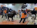 Donkey basketball event supports Fairhaven Special Olympics