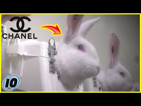 Video: Vai rimmel cruelty free?