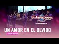 La Arrolladora Banda El Limón De René Camacho - Un Amor En El Olvido (Lyric Video)