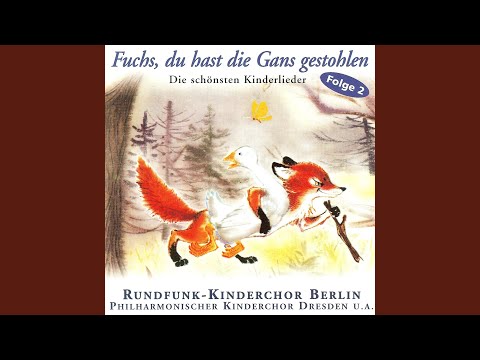 Erst kommt der