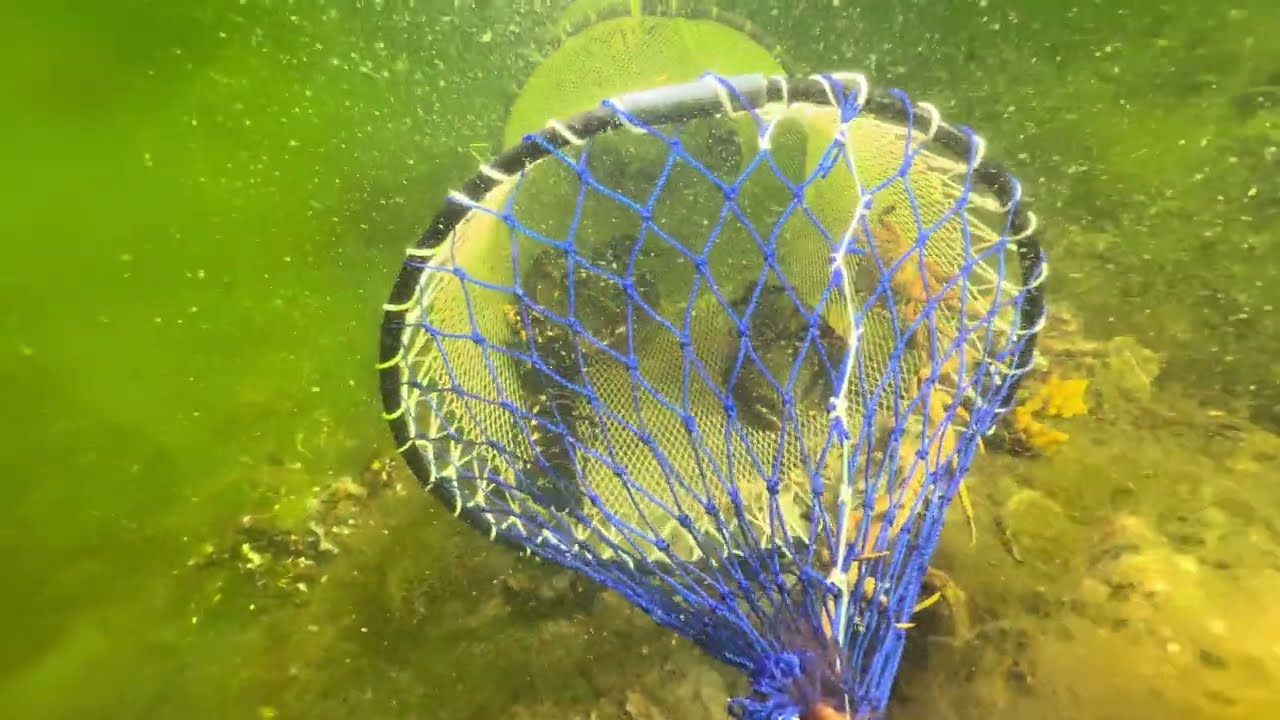 Frans Kok rif - Dreischor 13 april 2025