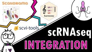 Comparing single-cell integration methods - which one should you use?