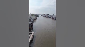 cái đôi vàm phú tân Cà Mau  1 buổi chiều