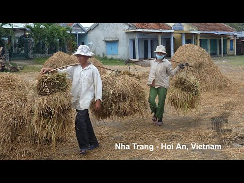 Video: Besoek die Japannese brug van Hoi An in Viëtnam
