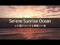 Healing｜Gentle Ocean Waves—A Sea Tinted by the Pale Glow of Dawn (3h)｜Deep Sleep・Cleansing・ASMR
