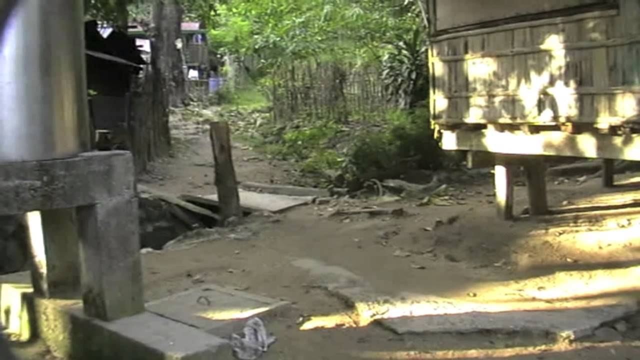 An Afternoon with Antoon