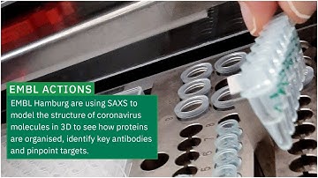 EMBL scientists shining high-brilliance X-ray beams on coronavirus structure
