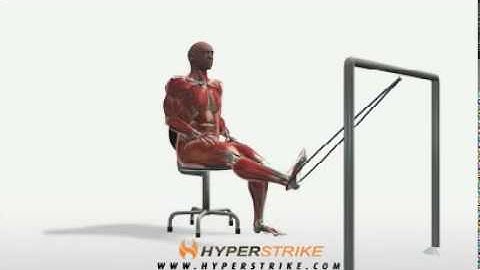 Exercise Videos- Band Leg Curl -- Seated