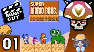 [Vinesauce] Joel - Super Mario Remastered Highlights ( Part 1 )