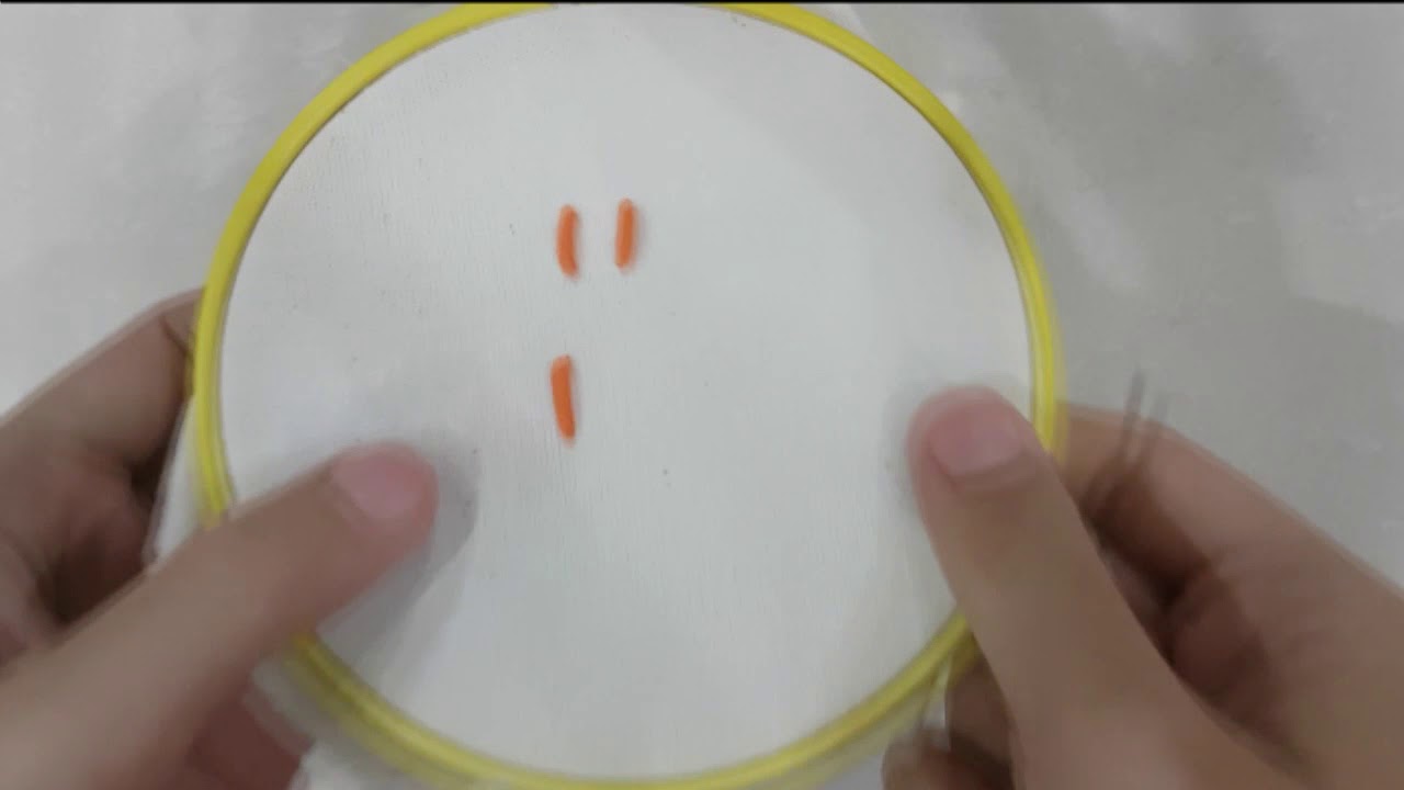 ตัวหนอน