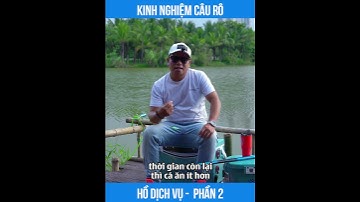 CHIA SẺ KINH NGHIỆM CÂU RÔ MỚI HỒ DỊCH VỤ - PHẦN 2