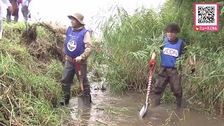 札幌・豊平川で”サケの産卵環境”を改善_ボランティアが生い茂った草や川底の泥を除去_地元の高校生は「ずっと水がきれいな川であればいいな」〈北海道〉