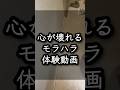 心が弱い人は見ないで下さい