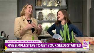 Five Simple Steps To Get Your Seeds Started