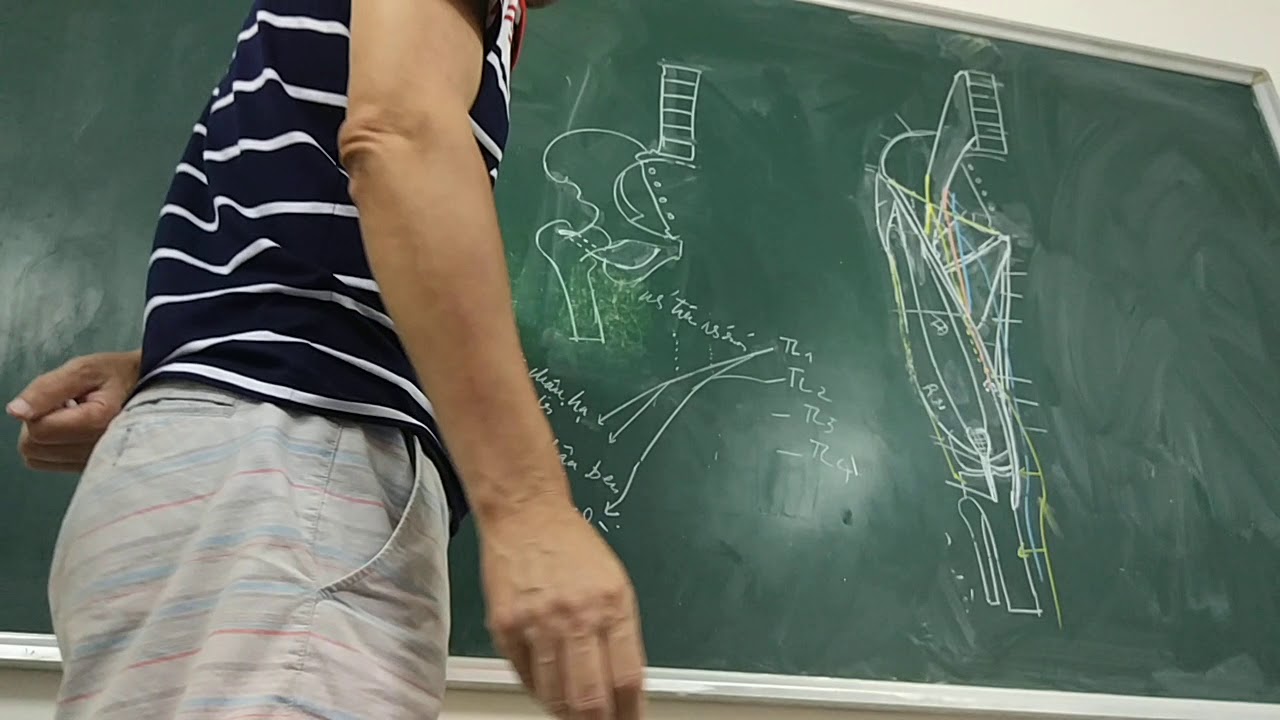 [GIẢI PHẪU 2019] CHI DƯỚI Bài 5.1 Đám rối thắt lưng... - youtube