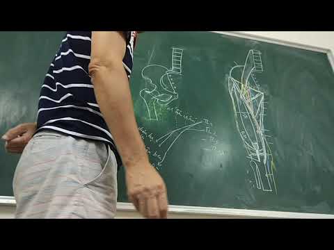 Video [GIẢI PHẪU 2019] CHI DƯỚI Bài 5.1 Đám rối thắt lưng... - youtube