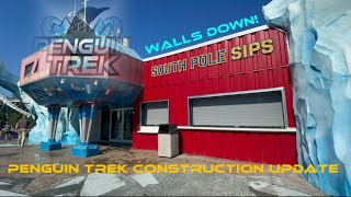 SeaWorld Orlando Penguin Trek Construction update. Walls down and penguin exhibit! 5/25/24