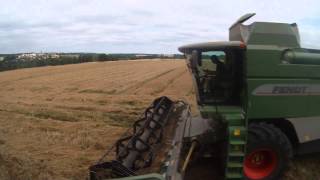 moisson 2015 de dactyle [gopro]