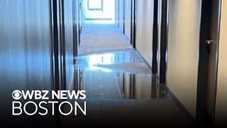 UMass Boston students displaced after burst pipe causes flooding