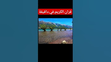 سورة.الزمر #quran #المصحف #اكسبلور #flowers #لايك #duet #راحة_نفسية #ترند احترم.القران.دقيقة #لايك