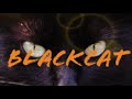 Blackcat prod  chanwar music fv2019