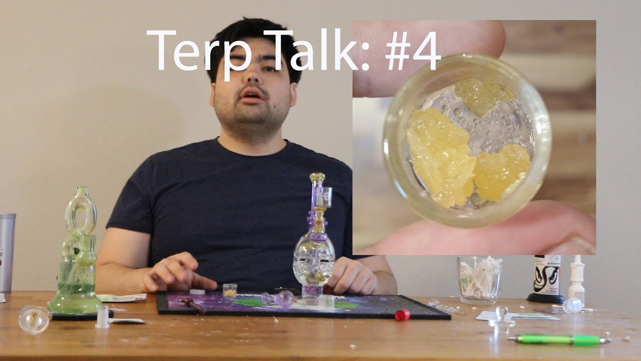 terp talk 4 (cinderella 99) c99