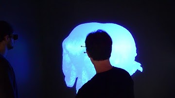 Volume Rendering of a Copepod in VR