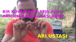 Bi̇r Kovan Ari Satin Alip Ariciliğa Nasil Başlanir? Arı Ustası Sıfırdan Kolay Arıcılık Kursu-2