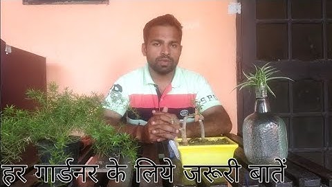 Gardener exam related questions and answers, part-01 || ये बातें हर गार्डनर को पता होनी चाहिए