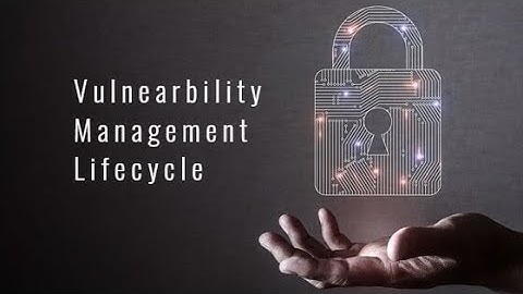 Mastering the Vulnerability Management Life Cycle