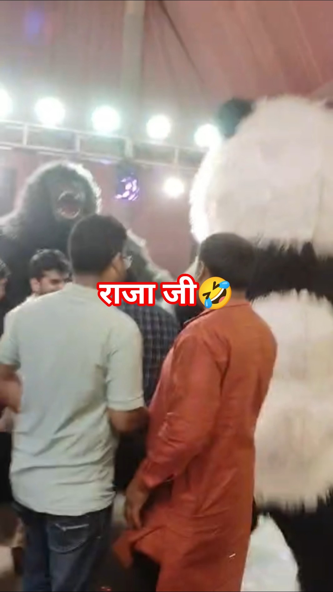 💑वेडिंग वीडियो - ShareChat