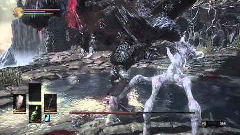 Ds3 1st try