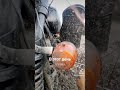 Днепр МТ-16.