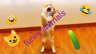 New funny animals video 2023| Cats and dogs funny video| funniest animals planet|funny animals 🐶😺 by The budgie birds 6,217 views 2 months ago 12 minutes, 26 seconds